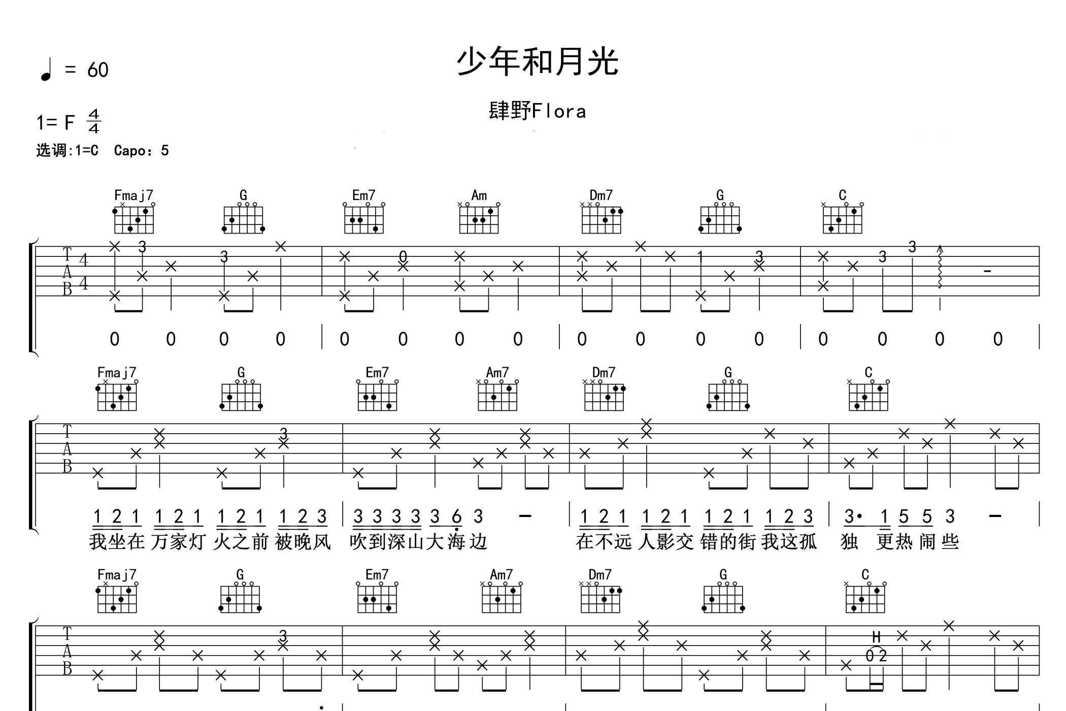 少年和月光吉他谱预览图