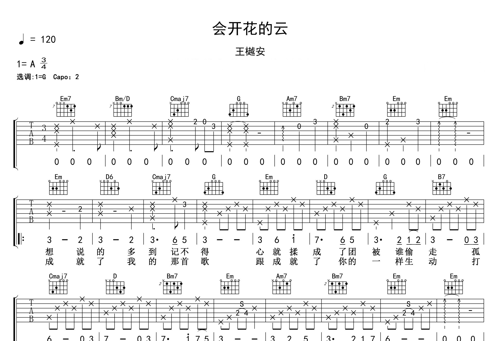 会开花的云吉他谱预览图