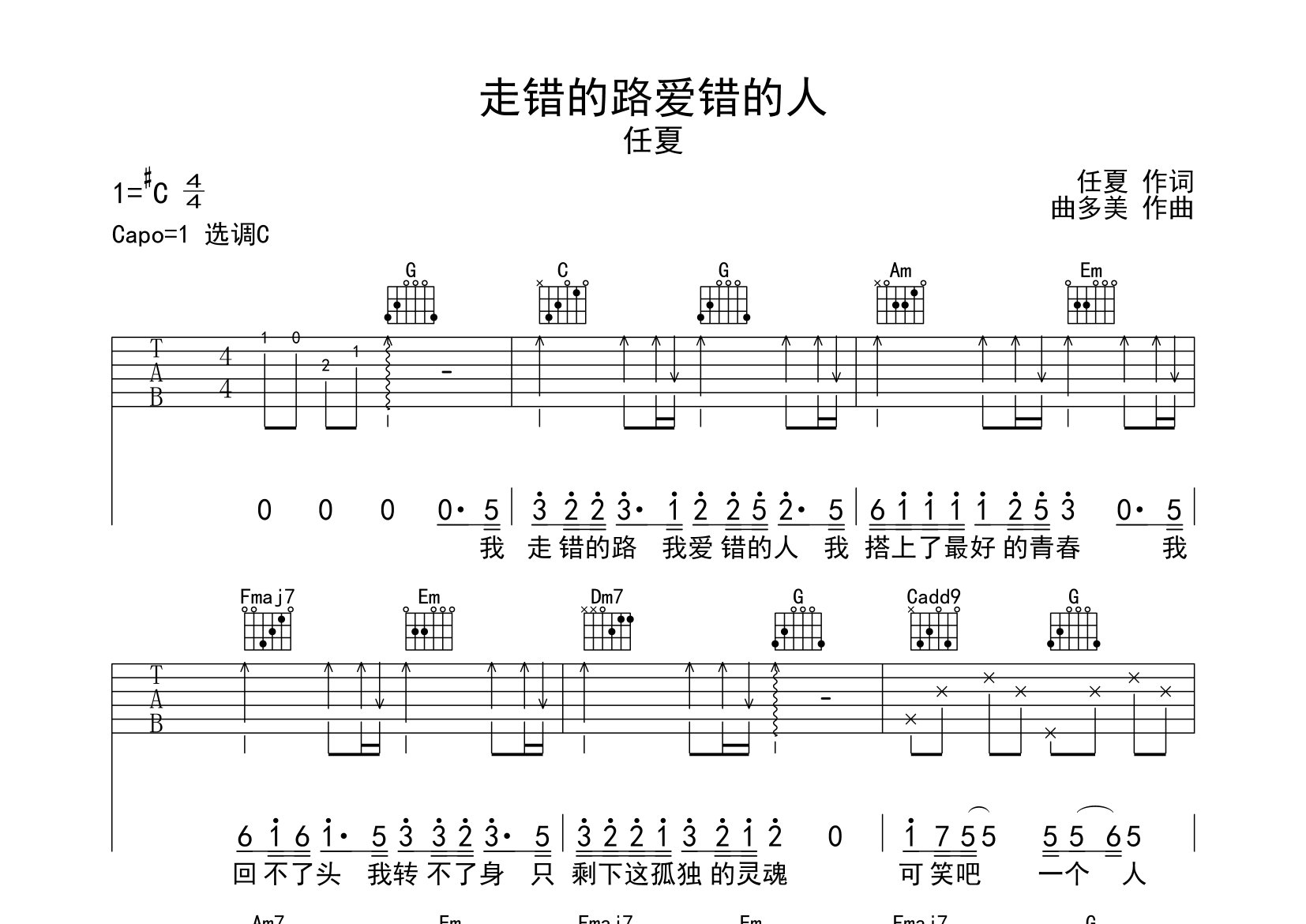 走错的路爱错的人吉他谱预览图